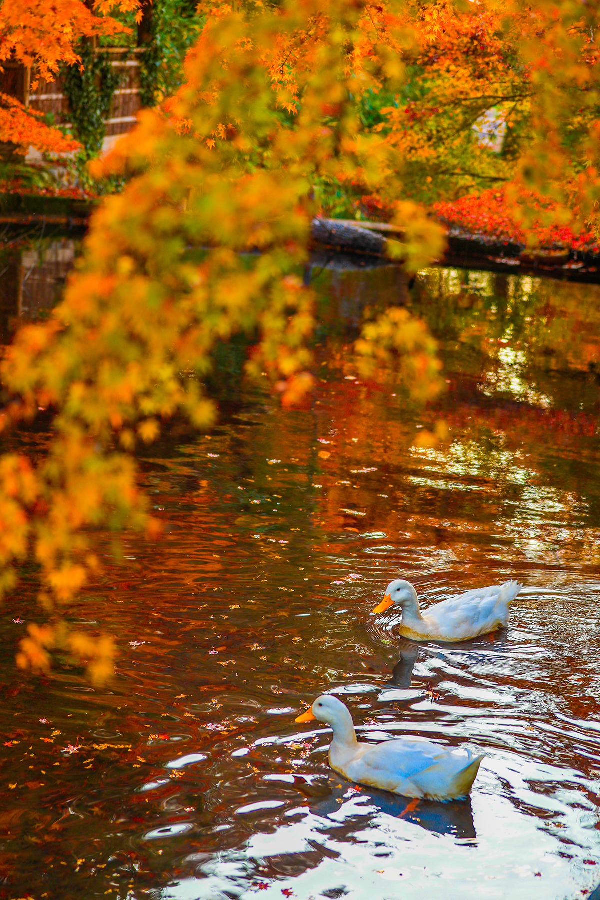 １等　「志んぐ荘ペア宿泊券」