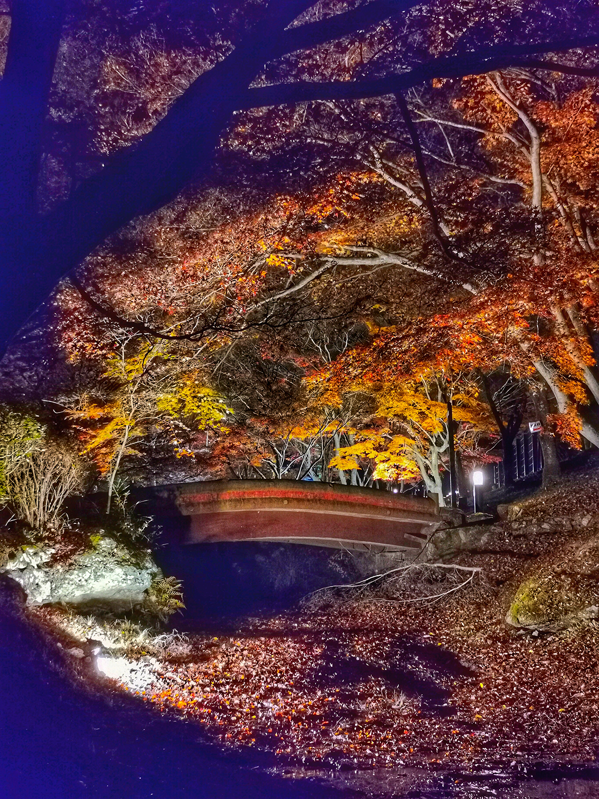 3等：ランチバイキングペア券